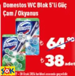 DOMESTOS WC BLOK 5’Lİ GÜÇ ÇAM / OKYANUS